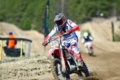 DSC_7447_800x1200
