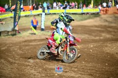 DSC_2565_1600x1067
