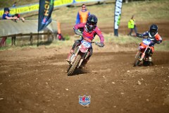 DSC_2576_1600x1067