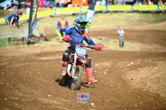 DSC_2639_1600x1067