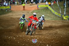 DSC_3842_1600x1067
