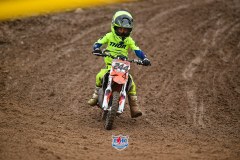 DSC_3309_1600x1067