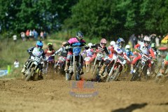 DSC_0274_1600x1067