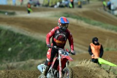 DSC_0665_800x1200