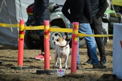 DSC_0798_1600x1067