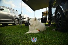 DSC_0886_1600x1067