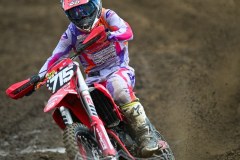 DSC_6150_800x1200