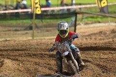 DSC_0203_800x1200