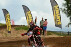 DSC_0550_800x1200