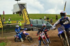 DSC_0559_800x1200