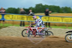 DSC_1196_1600x1067
