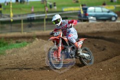 DSC_1988_1600x1067