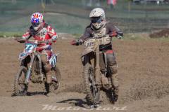 1_20545177_1456064257843212_7247568312016333794_o